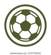 雷迪克：目前没有詹姆斯及其他人背靠背第二场的具体出战计划